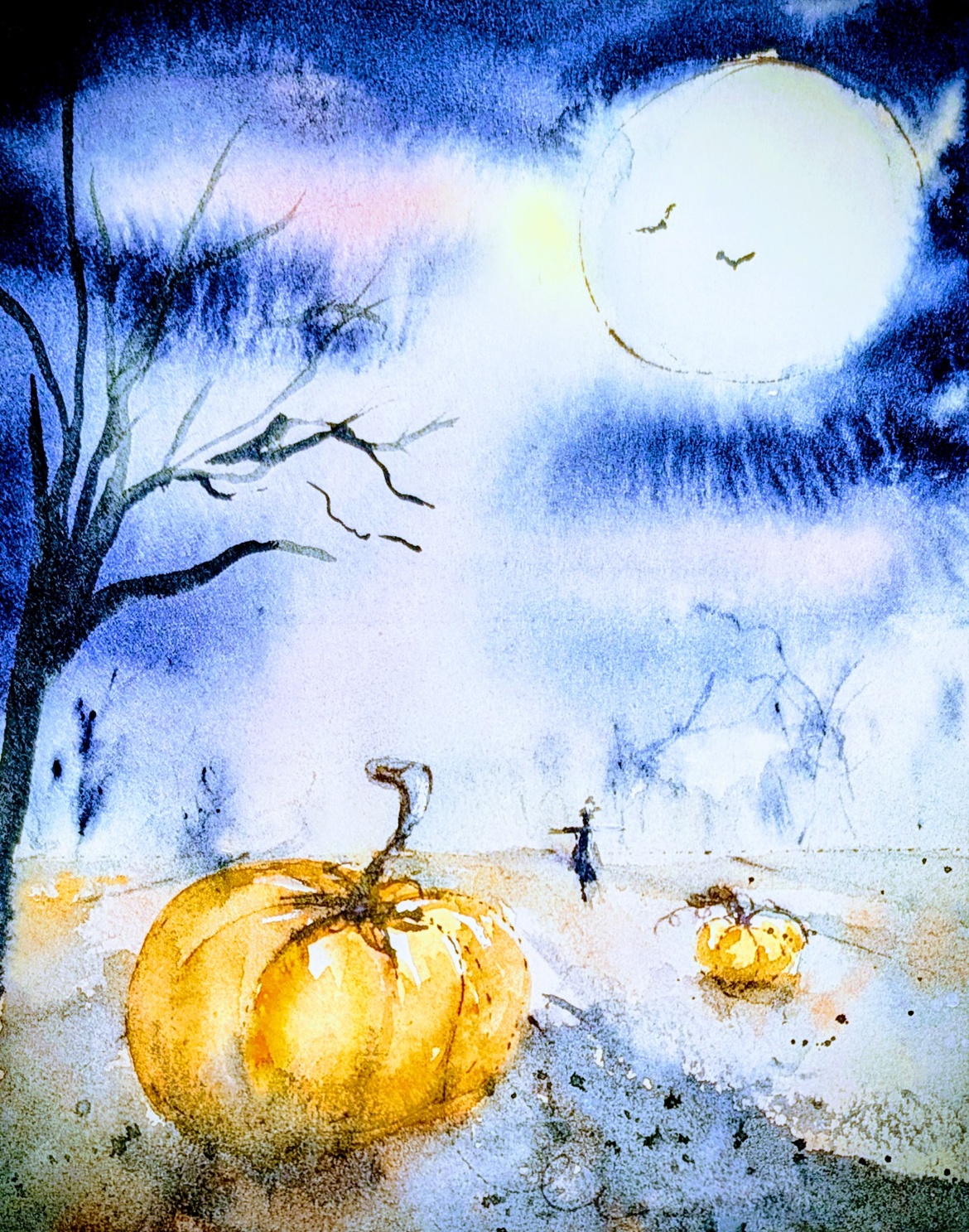 Pumpkin Field
